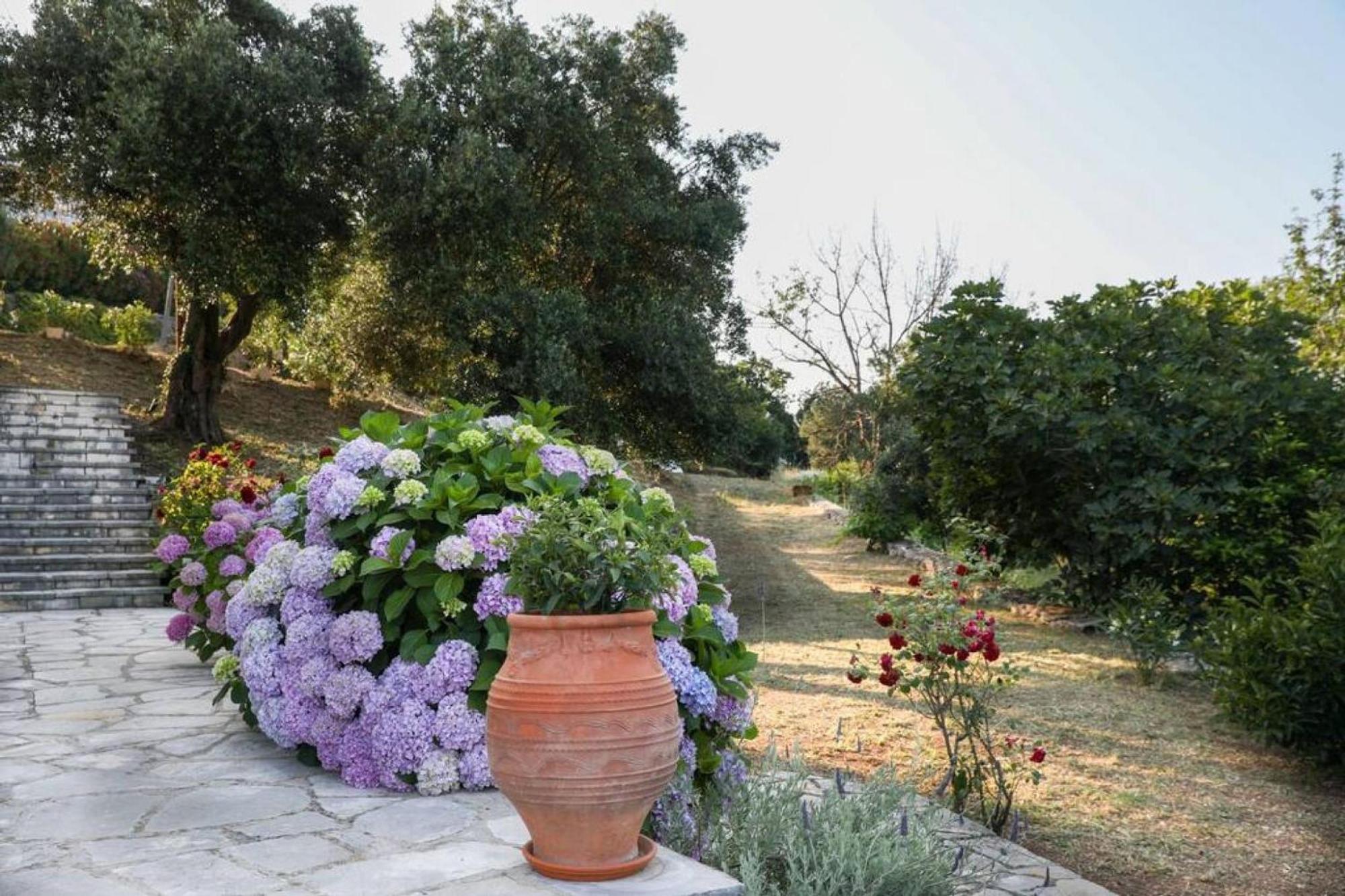 Sinies Stone Cottage - Ne Corfu Αγνίτσινη Εξωτερικό φωτογραφία
